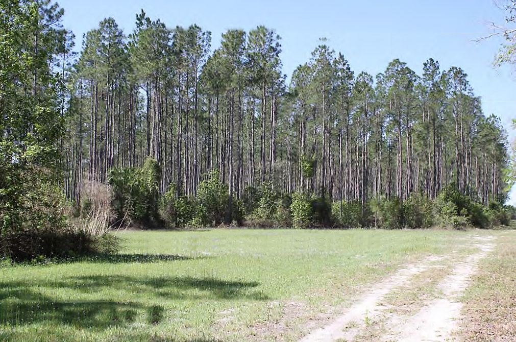 The Hastings Tract