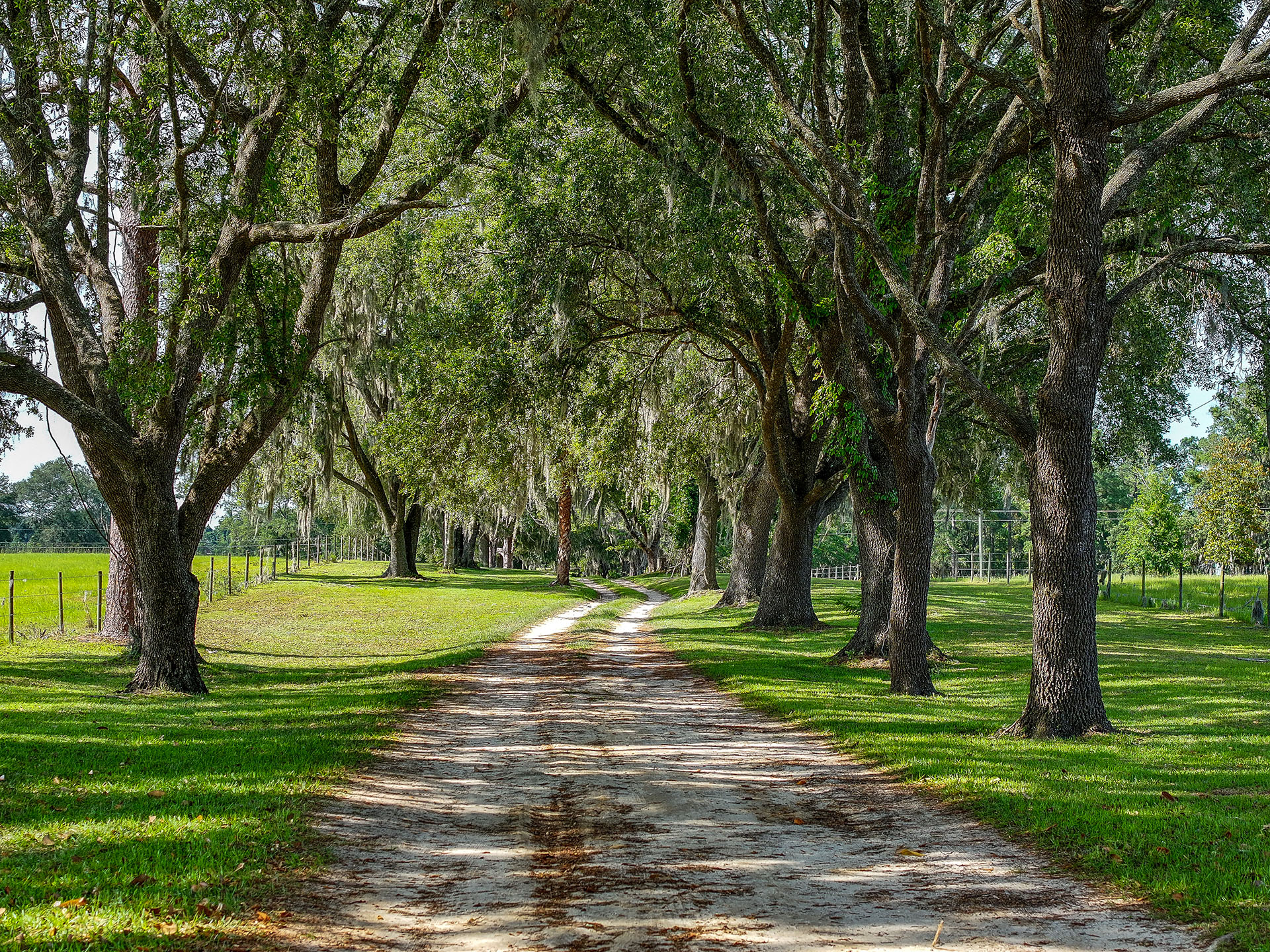 Oak Tree Landing