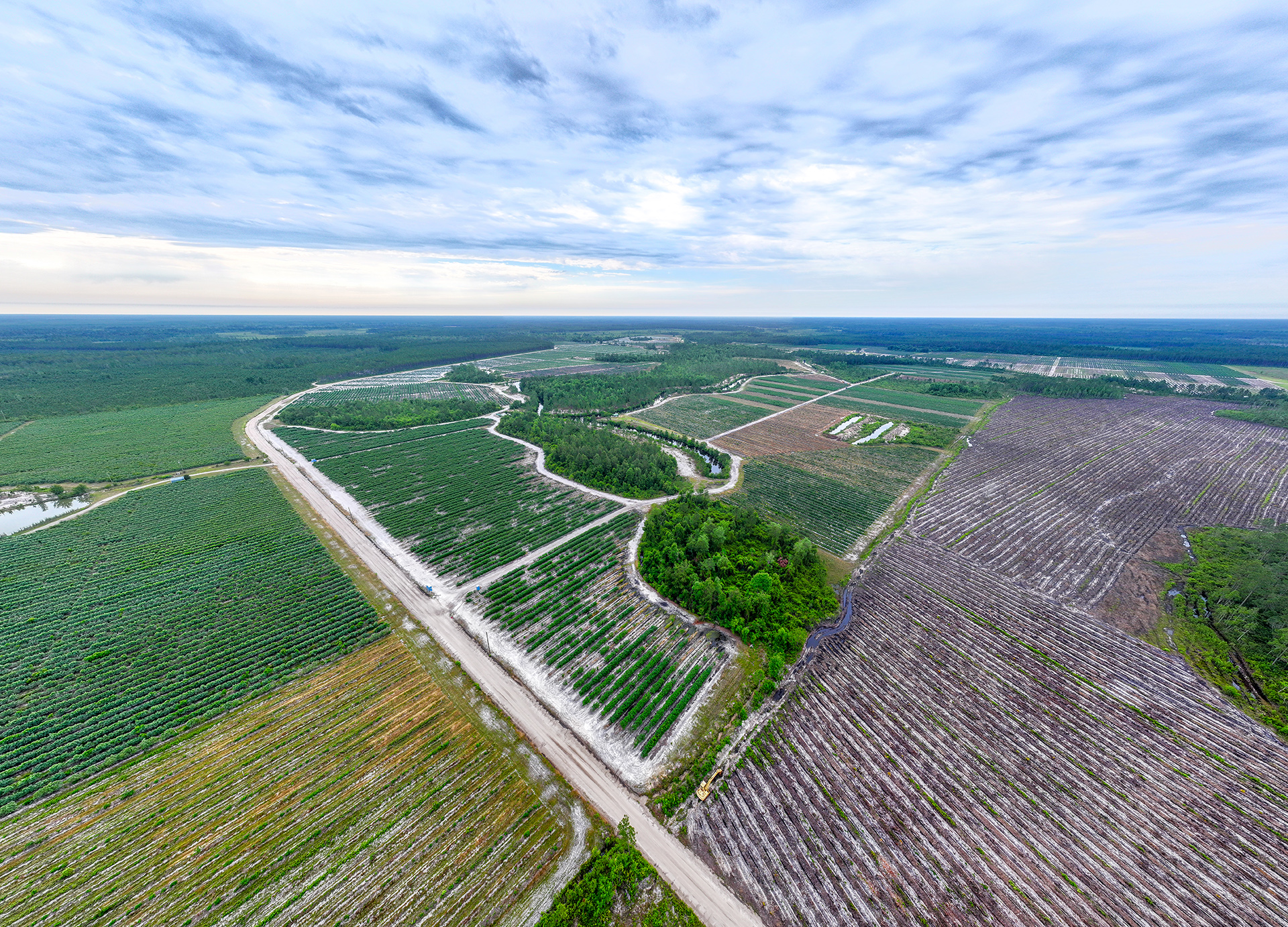 Progressive Farms