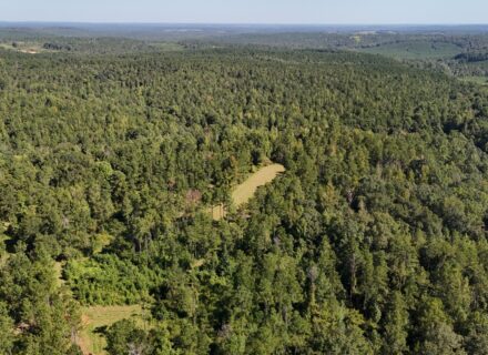 DJI_20250903095024_0002_D