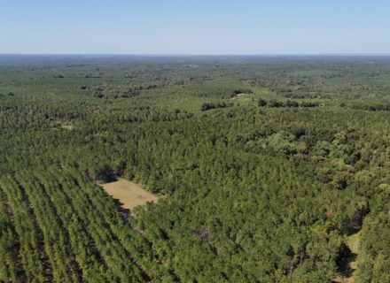 DJI_20250903095050_0005_D