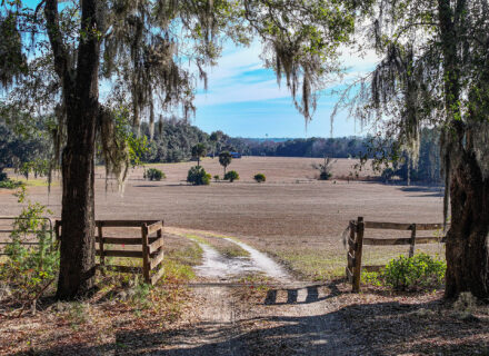 Melrose--Prairie Farm_K2 Edit-2