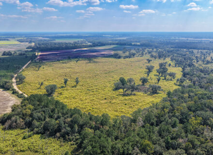 Mill Creek_Oct 2026_Compressed_K2 Edit-11