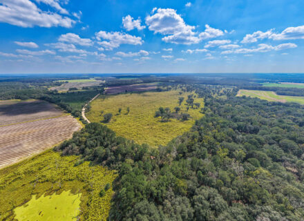 Mill Creek_Oct 2026_Compressed_K2 Edit-14